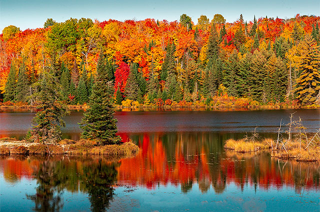 Algonquin Provincial Park